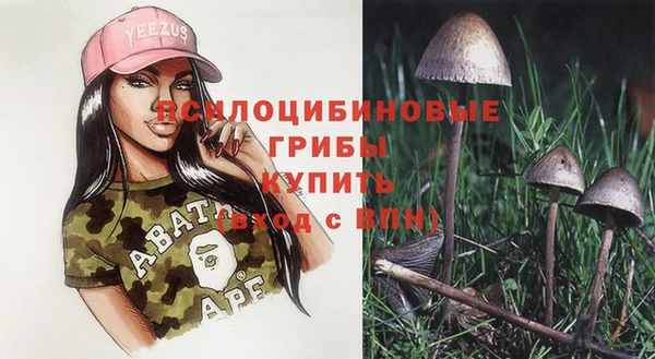бошки Каменногорск