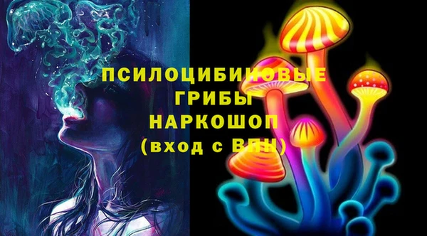 бошки Каменногорск