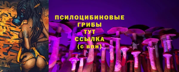 амф Инта